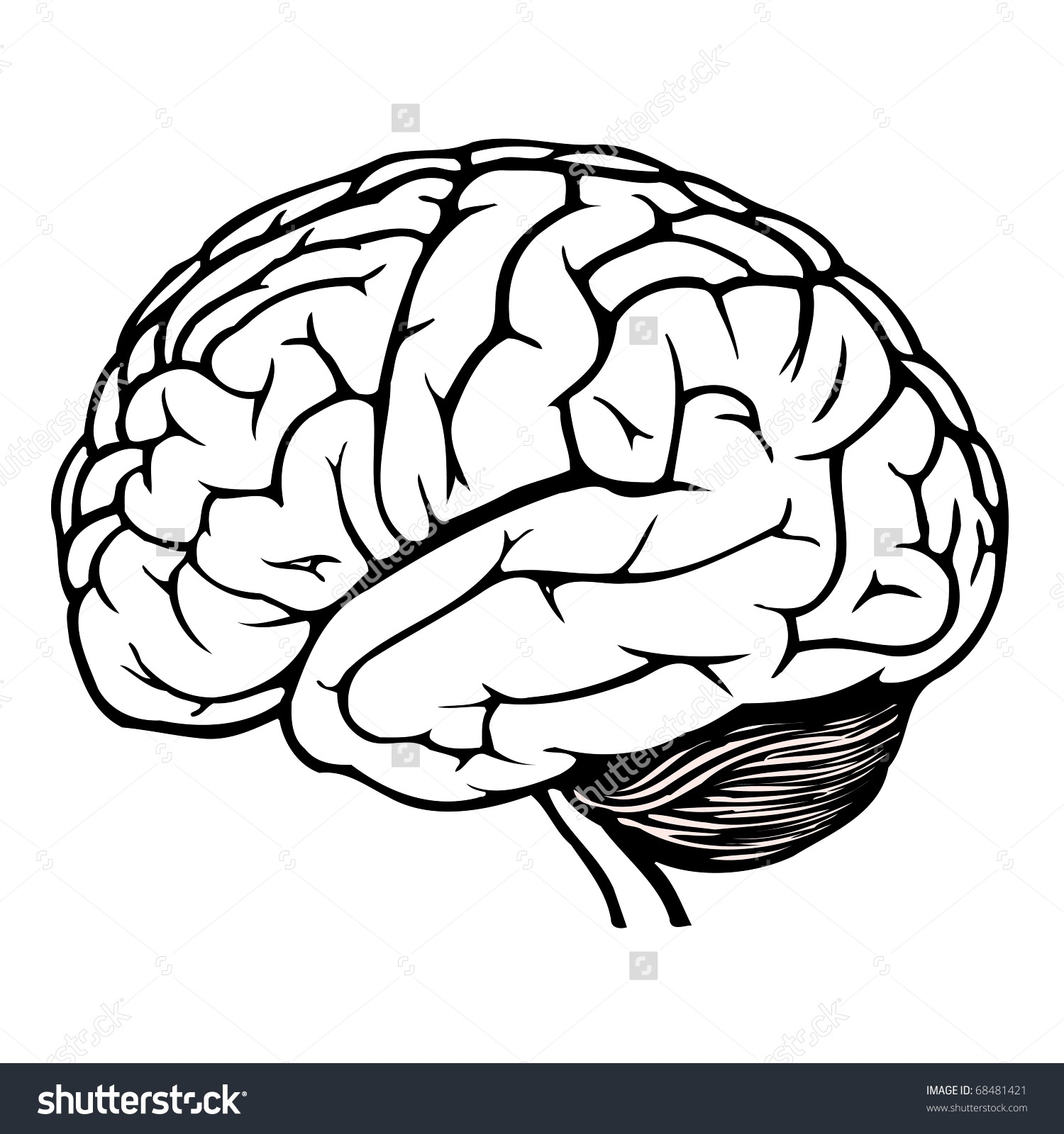 1500x1600 Human Brain Clipart Black And White Letters Example