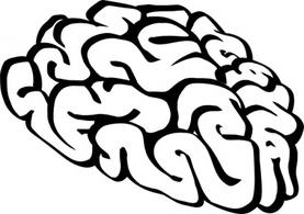 277x195 Brain Outline Clip Art