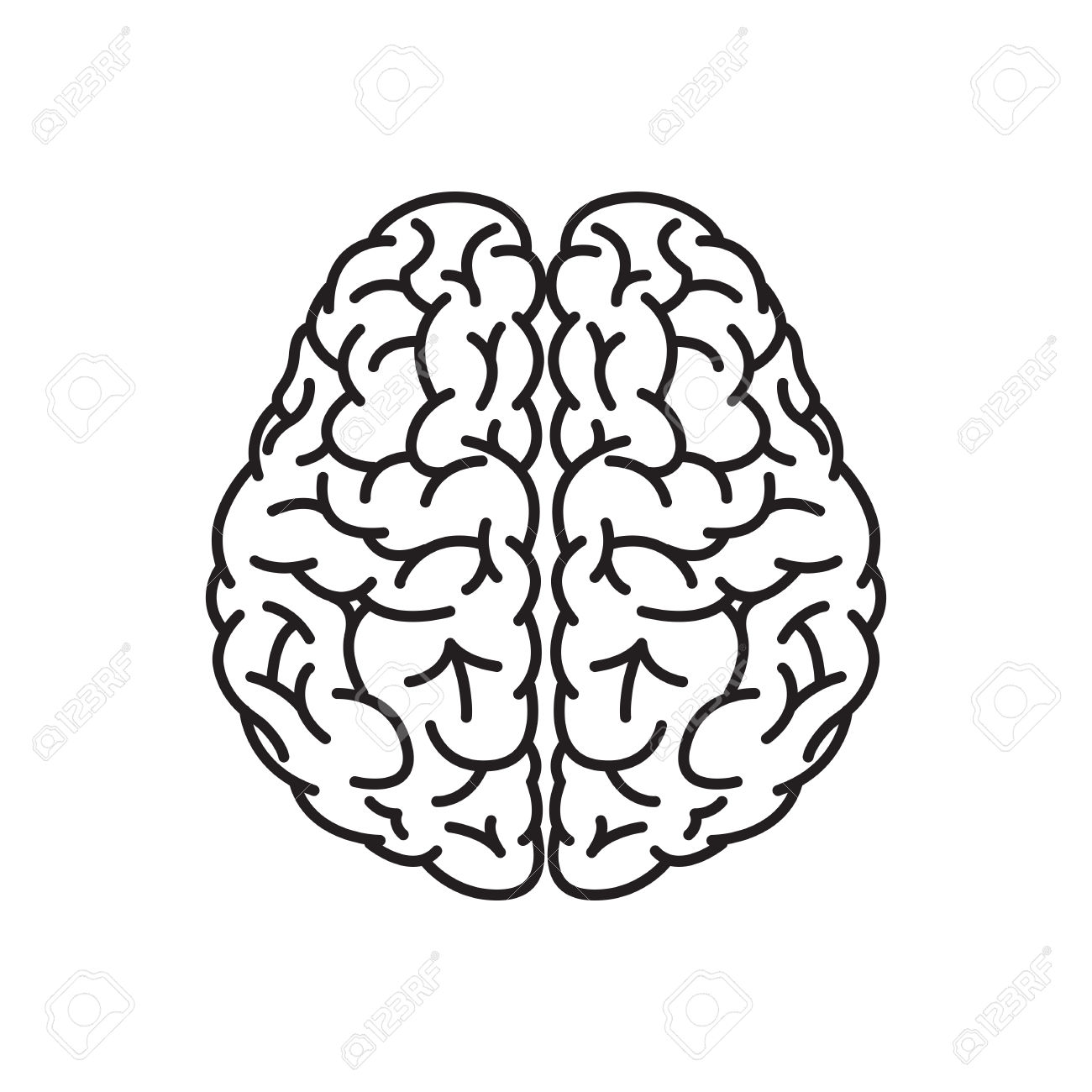 1300x1300 Brain Clipart Brain Outline