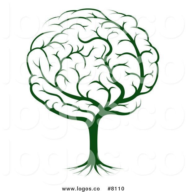 600x620 108 Best Designs On Brain Supplements Images Brain