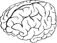 236x178 Brain Outline Clipart Black And White Forward