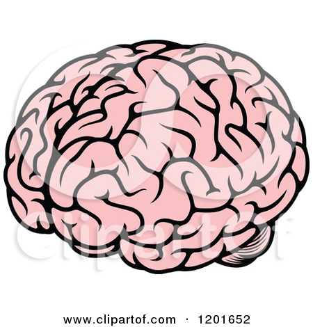 450x470 Brains Clipart Brain Break 2601652