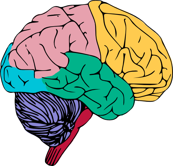 600x576 Mind Clipart Brain Break
