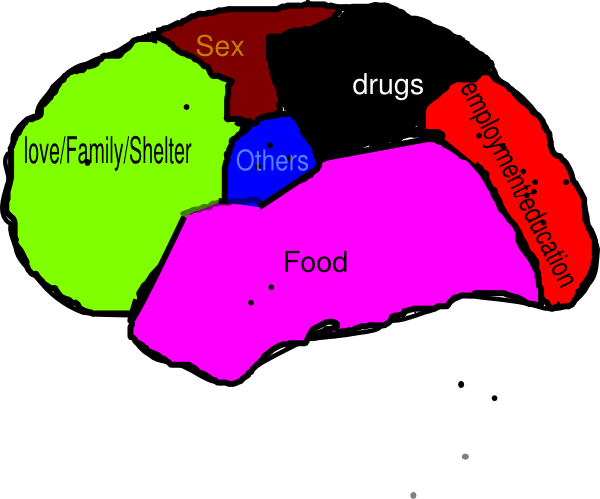 600x499 Human Brain Clip Art