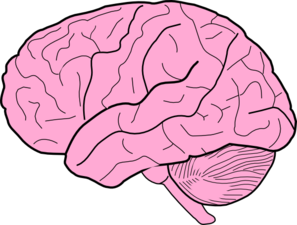 297x225 Brain Clip Art