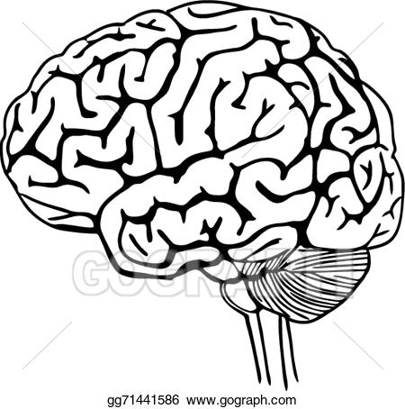 450x454 Vector Illustration