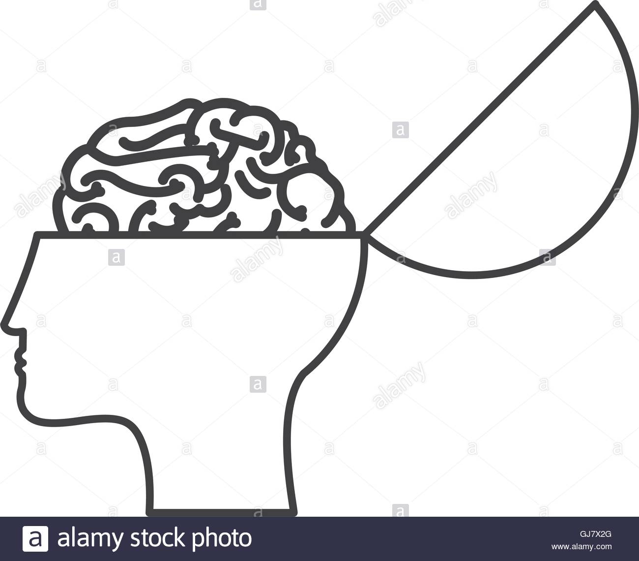 1300x1140 Open Human Head And Brain Icon Stock Vector Art Amp Illustration