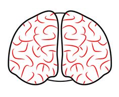 236x191 Brain Clipart Front