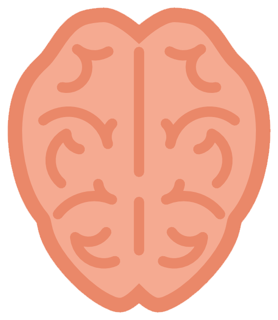 555x637 Free To Use Amp Public Domain Brain Clip Art