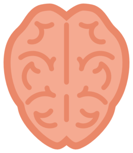 261x300 Brain Clip Art Vector Clip Art Free
