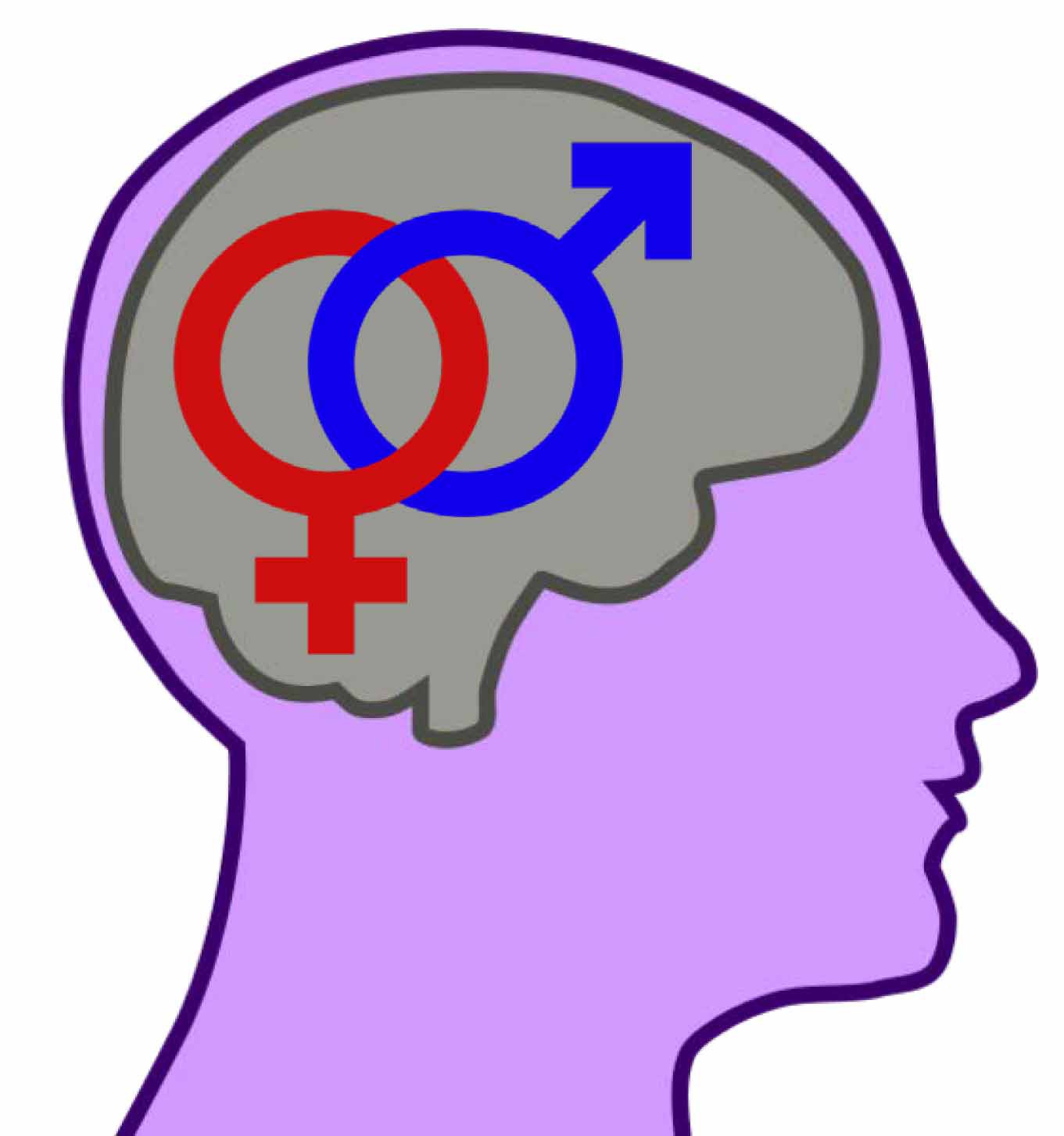 1361x1454 Brain Clipart Motivation