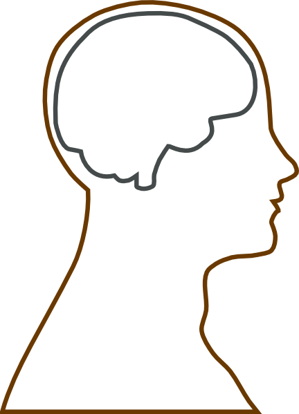 432x599 Free Brain In Head Clipart Image
