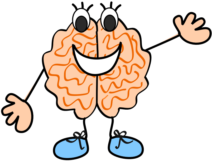 804x611 Brain Clipart Art Png