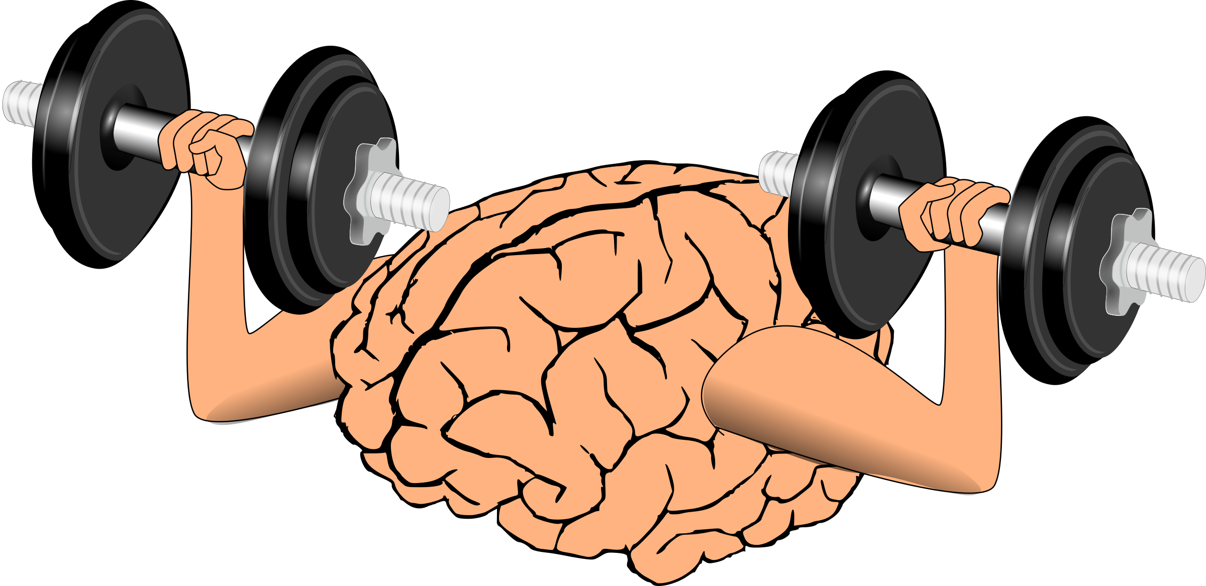 2400x1167 Brain Training Clip Art
