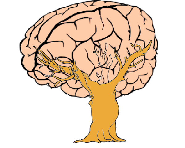600x480 Brain Tree Clip Art