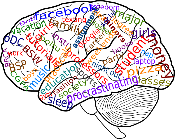 600x475 Brain Clipart Transparent