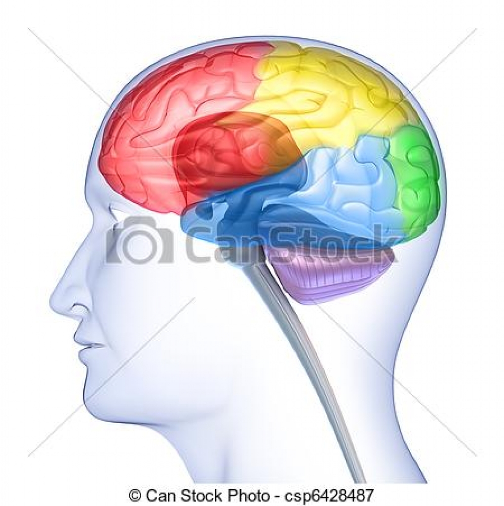 1021x1024 In Head Clipart