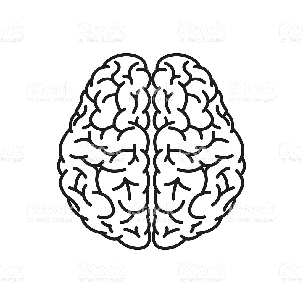 1024x1024 Top Brain Clipart