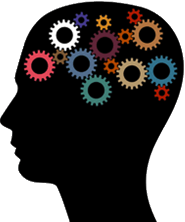 375x451 Brain Based Learning Lambert Linguistics