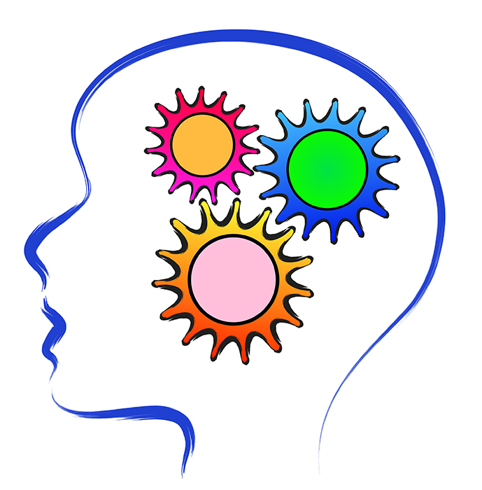689x700 Brains Clipart Student Learning