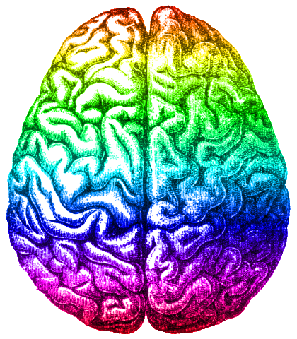 420x480 Filerainbow Brain, Aug 2014.png