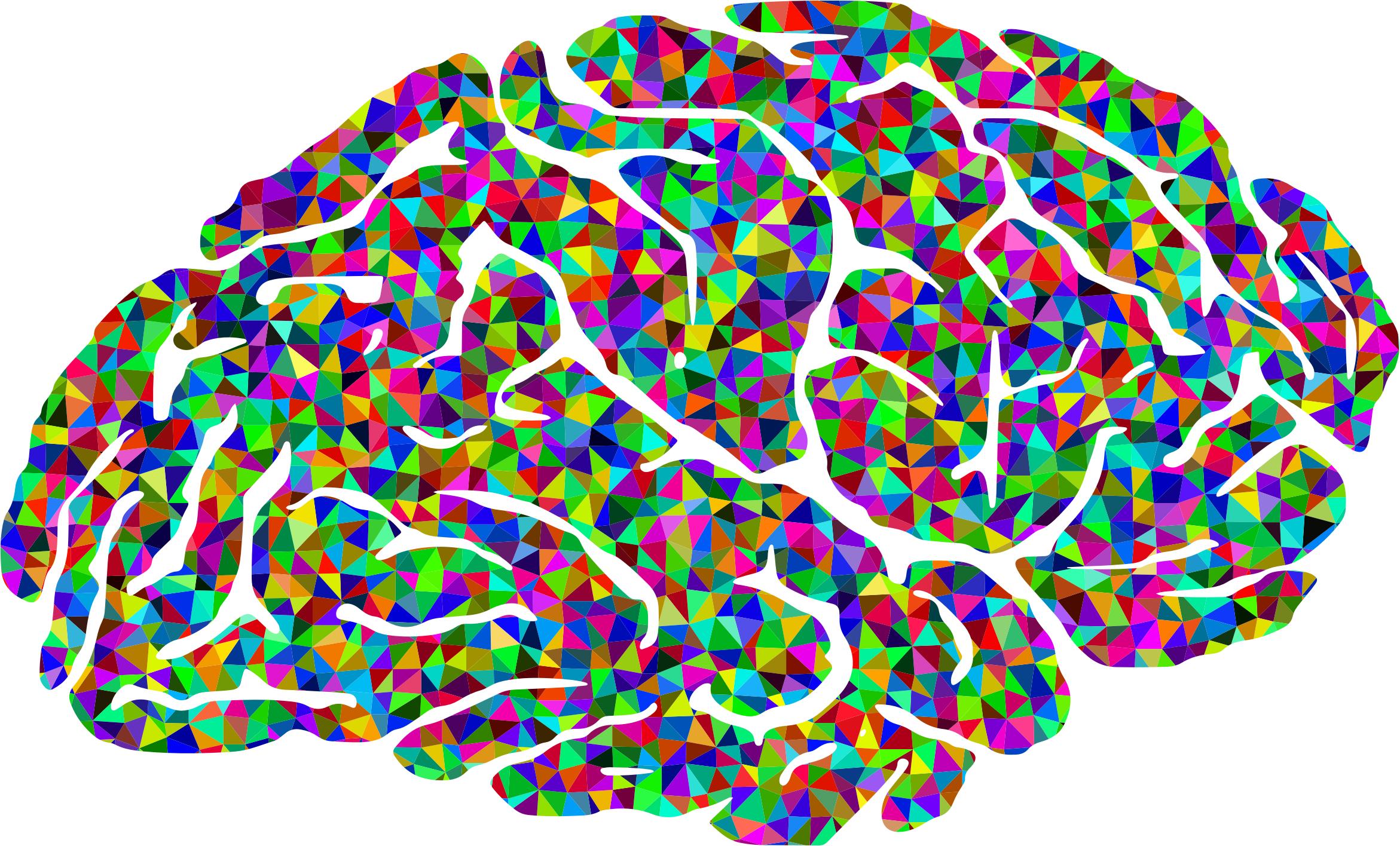2342x1416 Free Brain Icons Png, Bra N Images