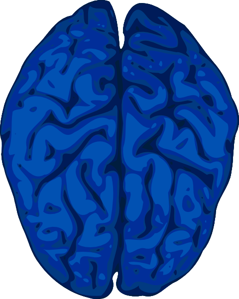 480x601 Blue Brain Clip Art