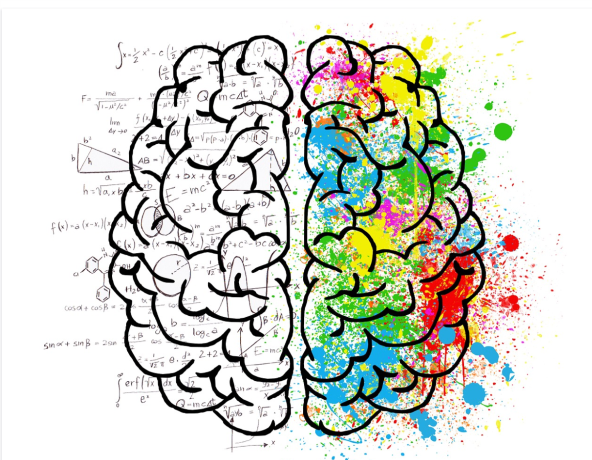 1200x931 Misconception Monday Left Brain Or Right Brain The Nour You Know