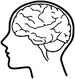 243x256 Brain Icon
