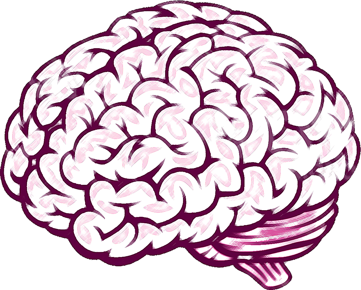 1210x972 Thinking Brain Clipart For Kids Png