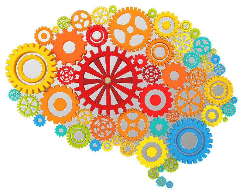 800x632 Brain Gears Icon Png