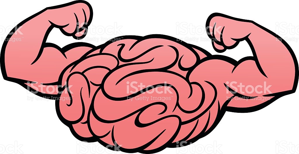 1024x527 Brains Clipart Muscular
