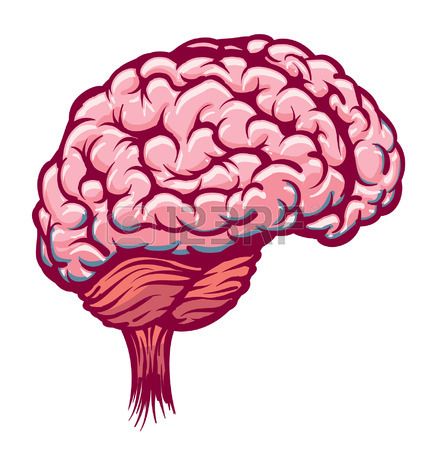 428x450 Zombie Brain Clipart, Explore Pictures