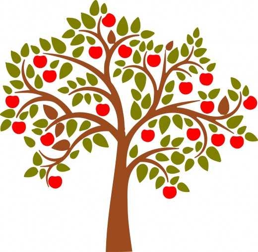 520x508 Apple Tree Branch Clipart Clipart Panda
