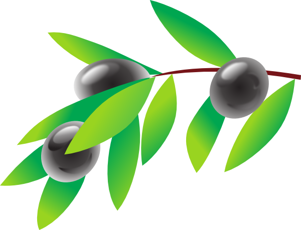 600x459 Olive Branch Clip Art