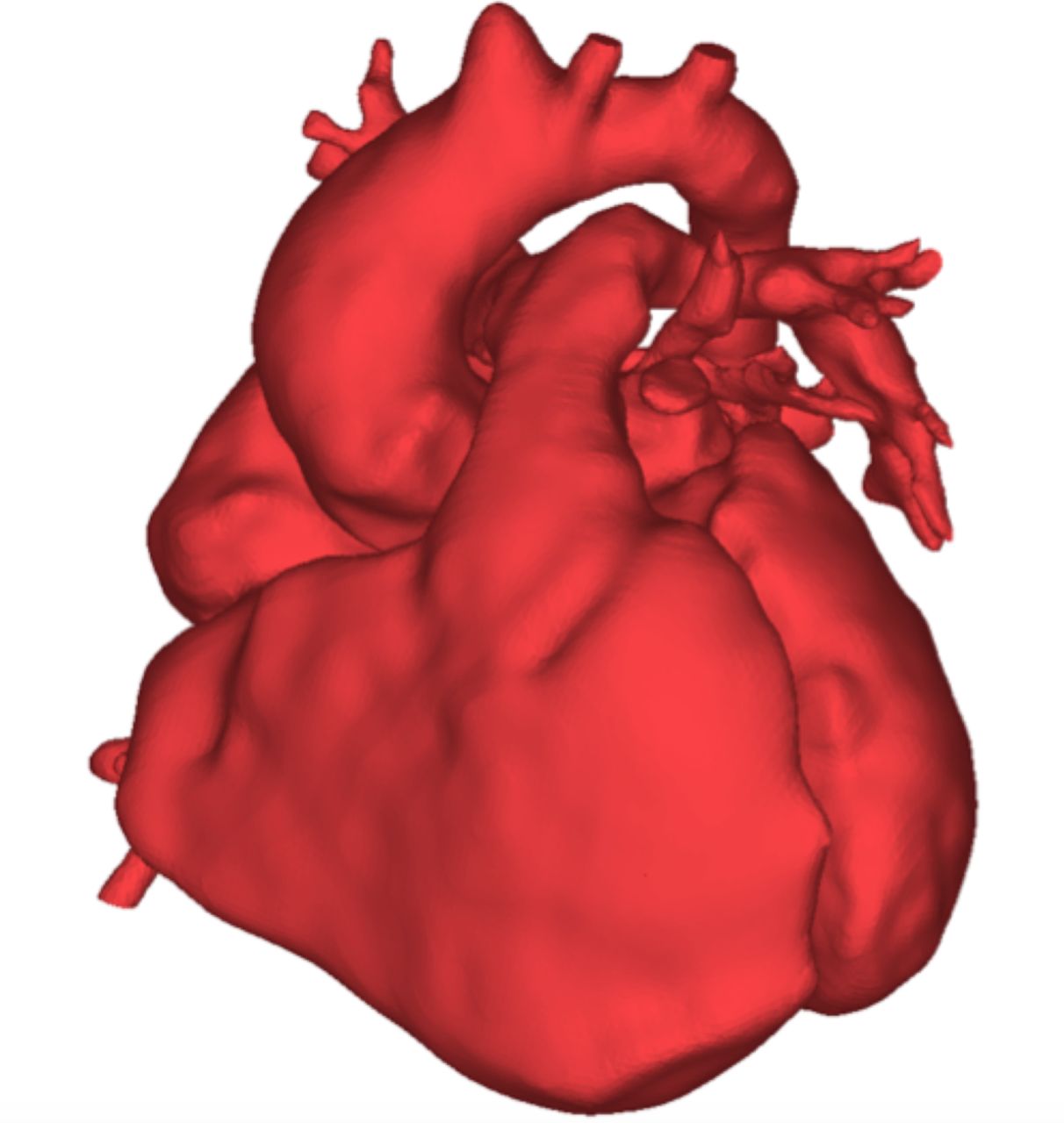 1212x1280 Outline Person Clipart Personal Narrative Short Expository Essay