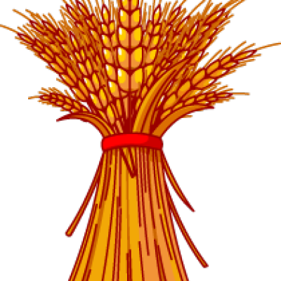 400x400 Grain Clipart