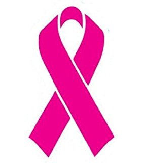 280x320 Pink Ribbon Breast Cancer Awareness Helmet Decal