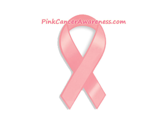 640x480 Pink Ribbon Breast Cancer Logo Symbol Awareness Magnet 1piece [Bca