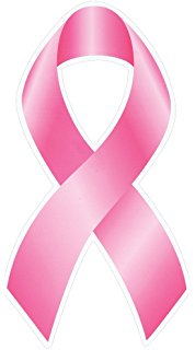 178x320 Breast Cancer Awareness Pink Ribbon Car Magnets (12