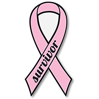 350x350 Breast Cancer Pink Ribbon Survivor Car Decal Sticker