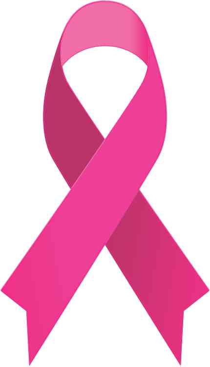 430x752 3in X 5in Pink Breast Cancer Ribbon Sticker Vinyl Awareness Decal