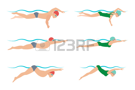 450x300 396 Breaststroke Stock Vector Illustration And Royalty Free