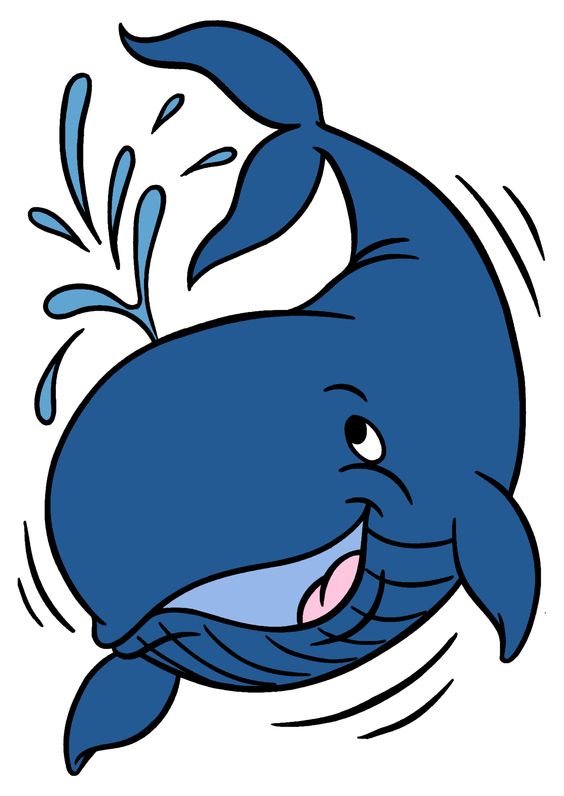 564x796 Whale Clipart Breathing