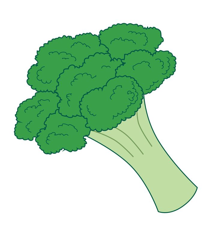 Broccoli Clipart