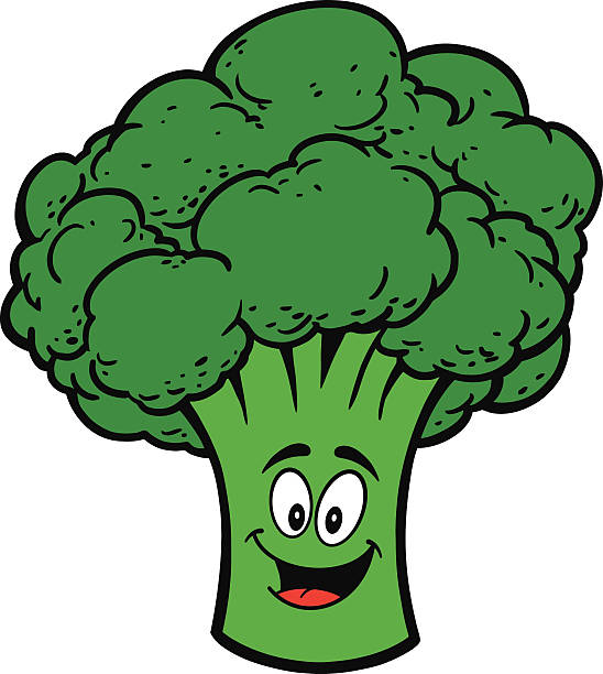 548x612 Broccoli Clipart Vector