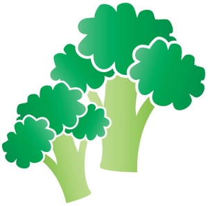 300x297 Broccoli Clipart Image