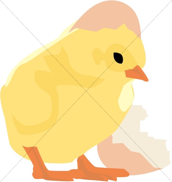 577x612 Cracked Easter Egg Clipart