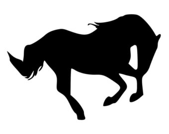 340x270 Bronco Horse Etsy