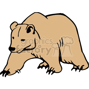 300x300 Royalty Free Forward Facing Brown Bear On All Fours 130074 Vector